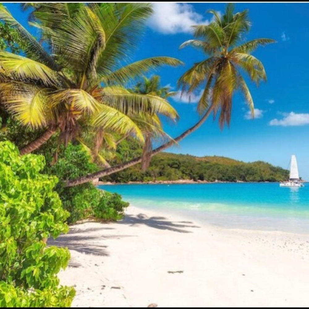 📢 Hello, Meet your Posher, Paradice